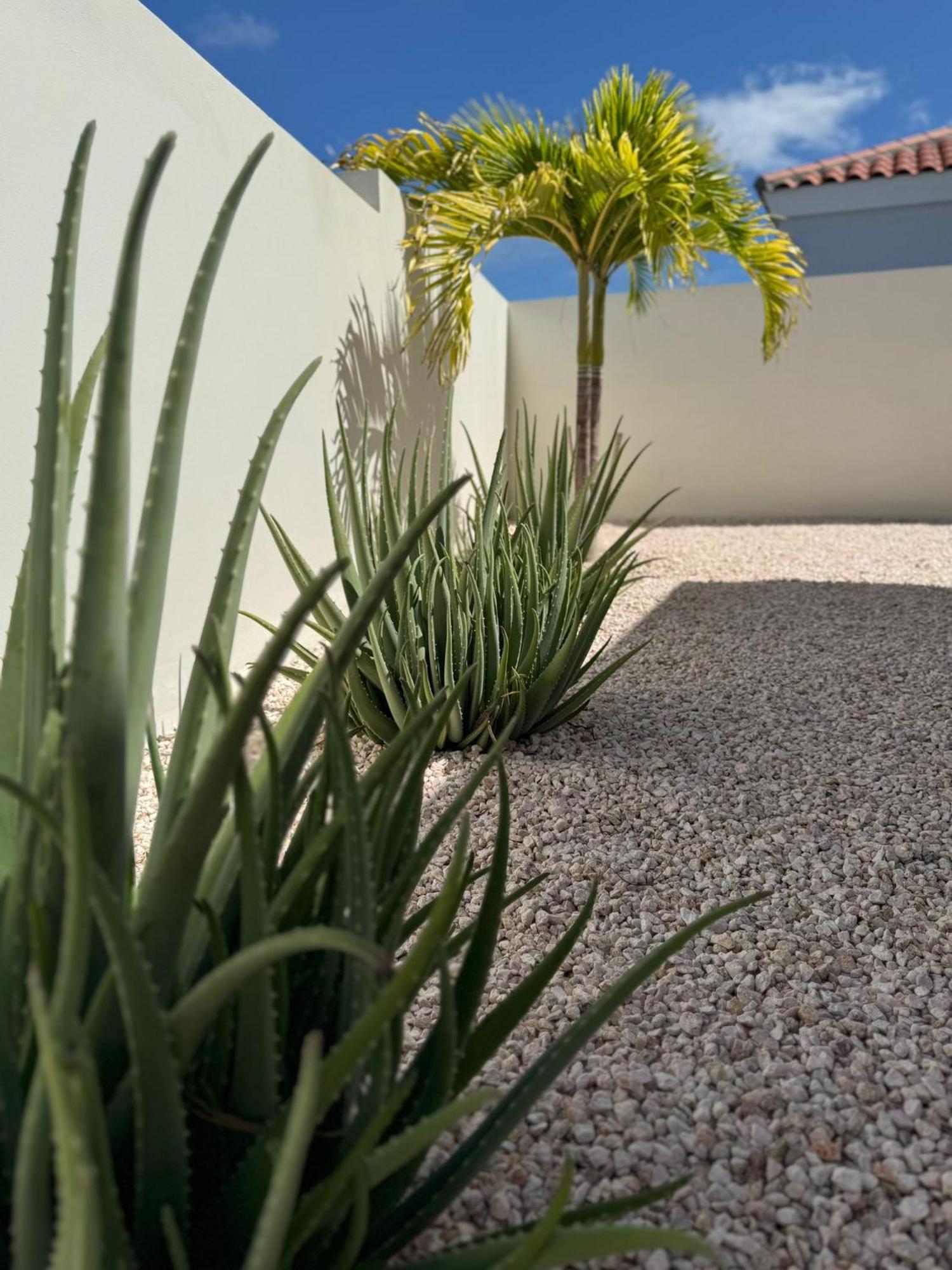 Villa Vista Montana Willemstad Extérieur photo